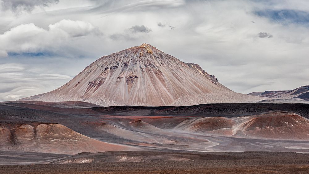 Photograph by Carlos Gianoli