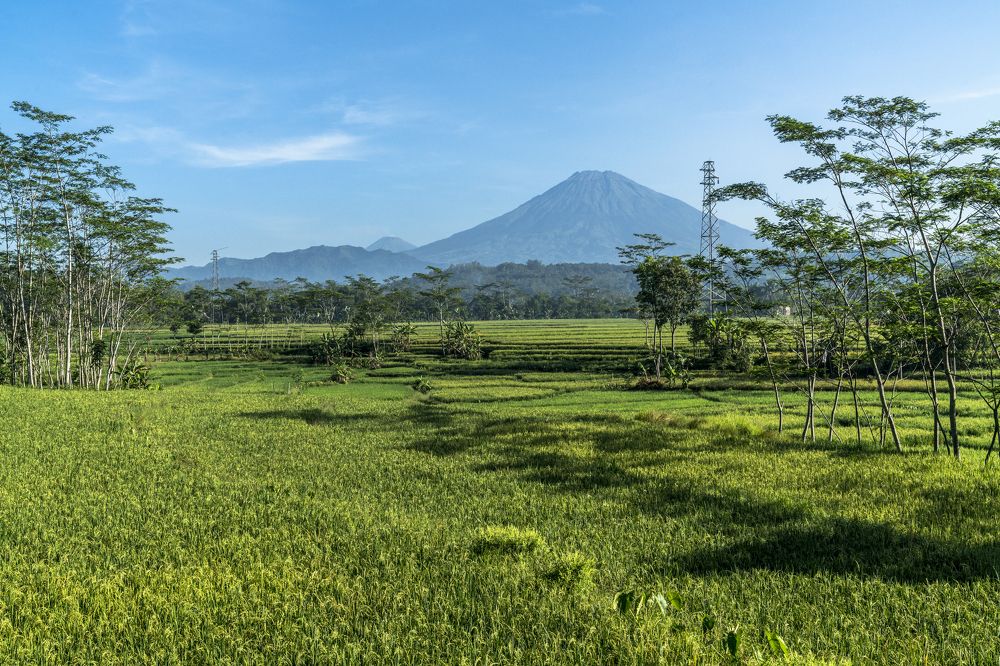 Photograph by Александр Журавлев