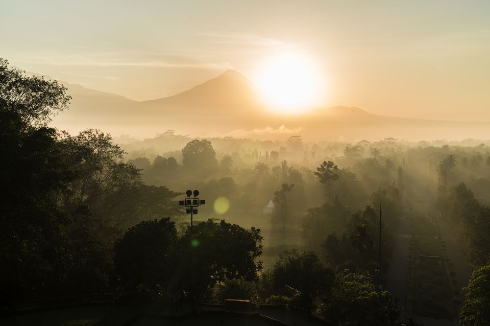 Photograph by Александр Журавлев