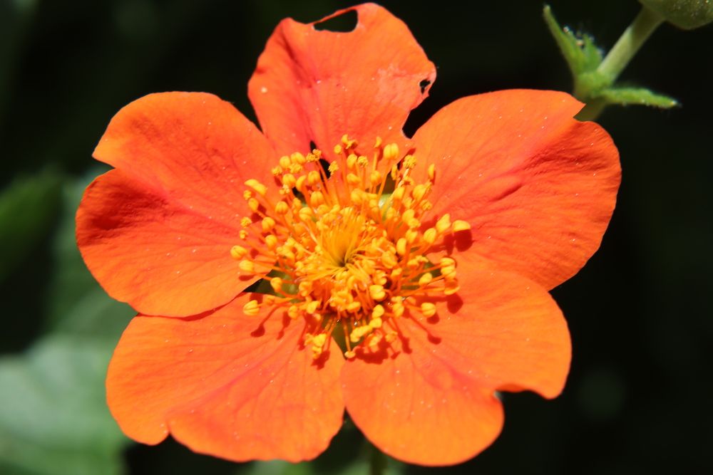 Фотография автора Анастасия Богдан