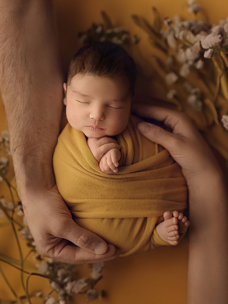 Photograph by Mònica Udina