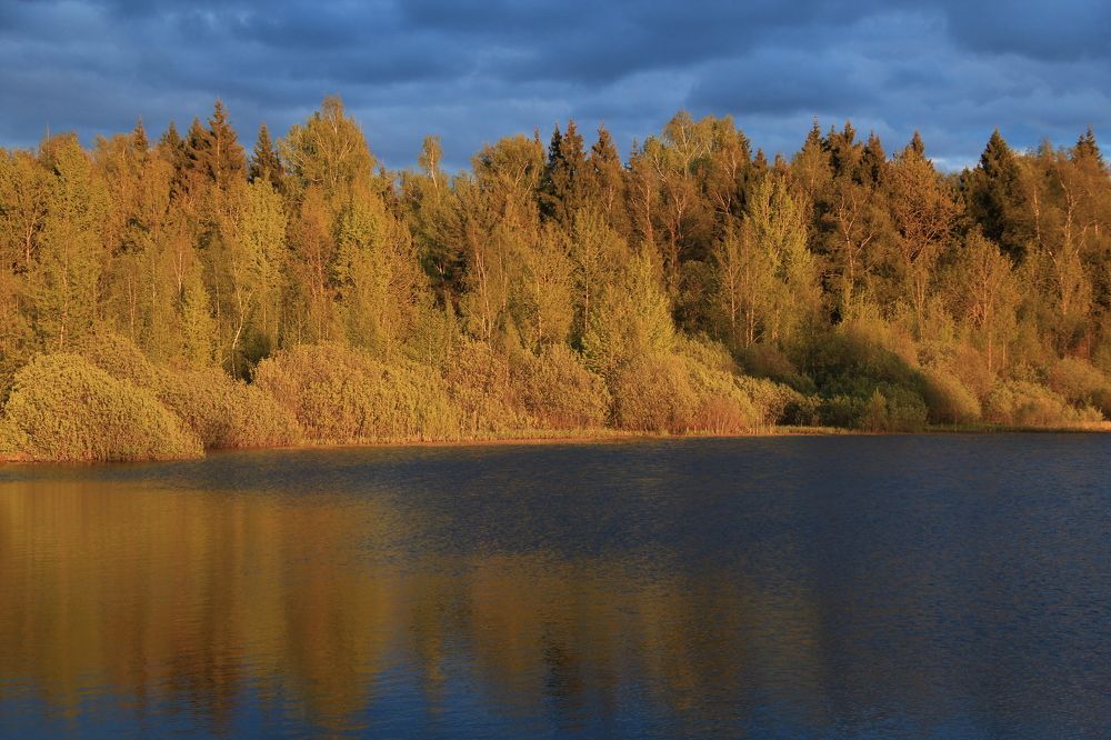 Photograph by Александра Пушнова