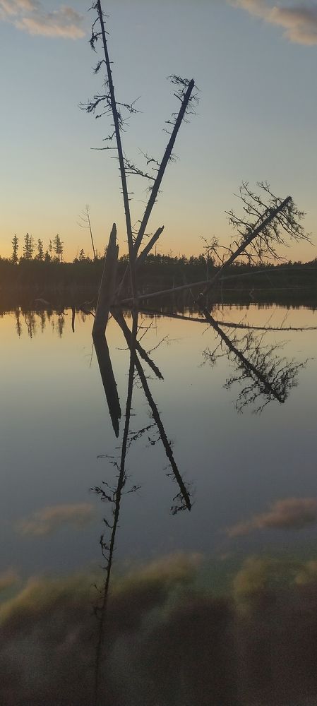 Photograph by Степан Кулехов