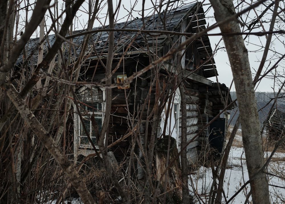 Photograph by Евгения Гриднева