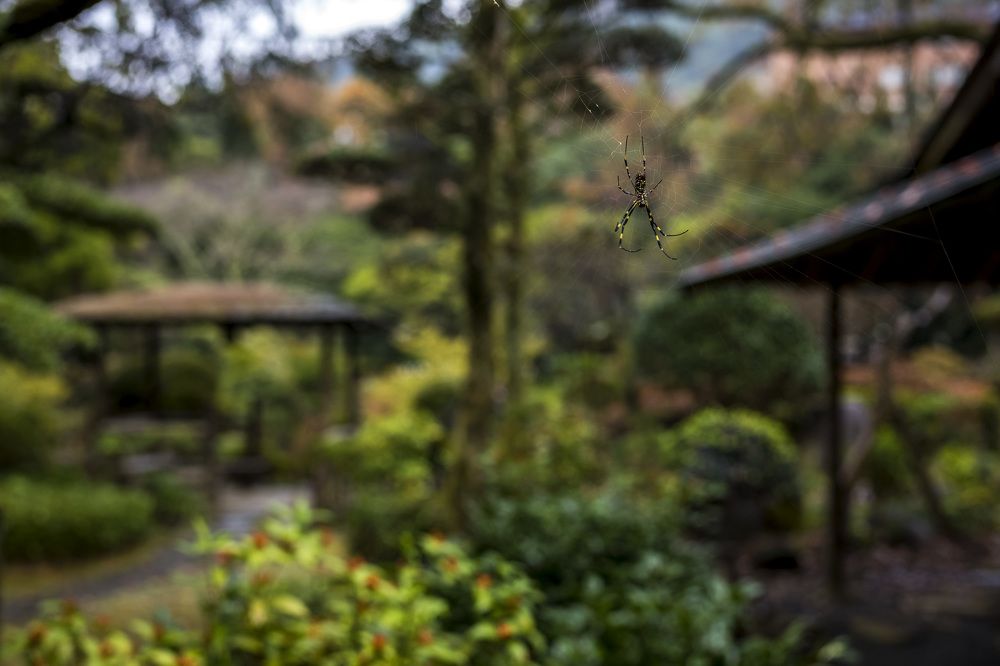 Photograph by Александр Журавлев