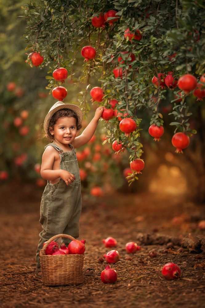 Photograph by Hamutal Avioz