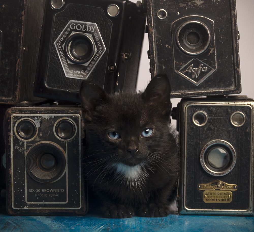 Photograph by jose colina