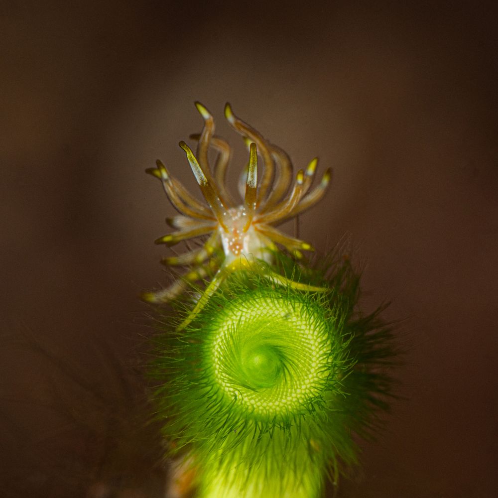 Photograph by Roberta Gossn Striuli