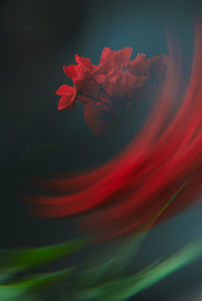 Photograph by Natalia Zhilina