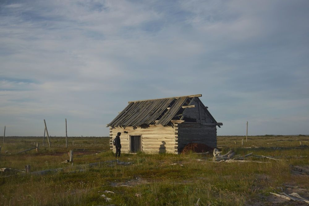 Photograph by smirnova sofya