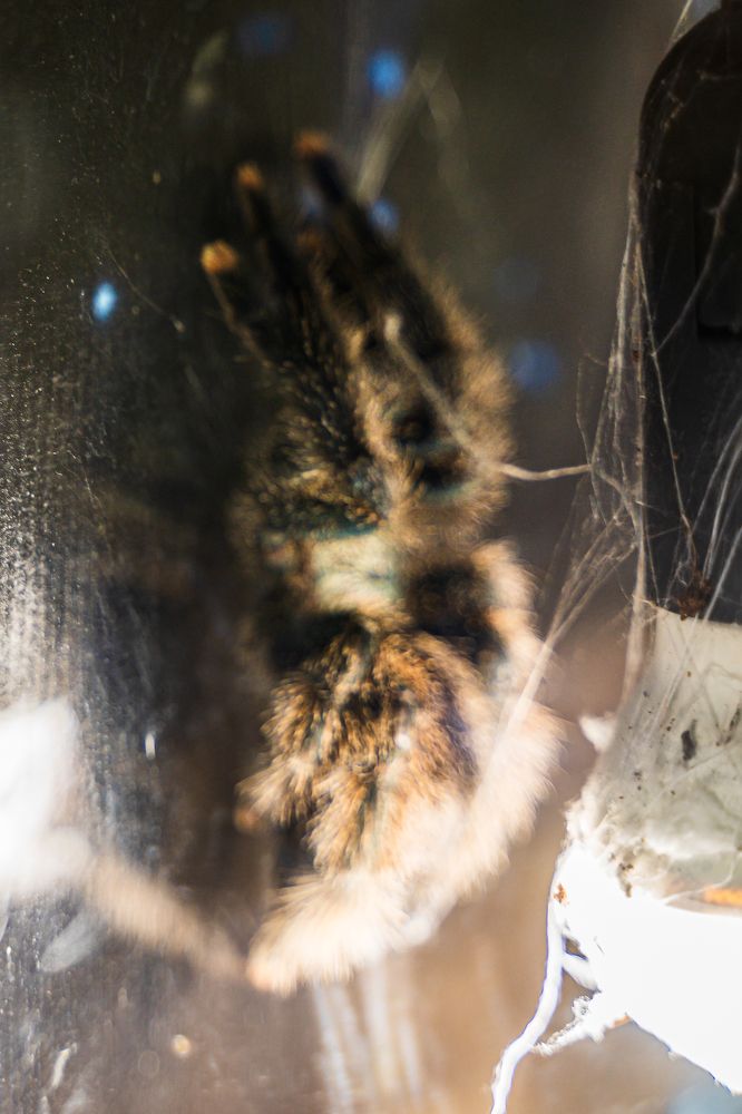 Photograph by Артём Александрович