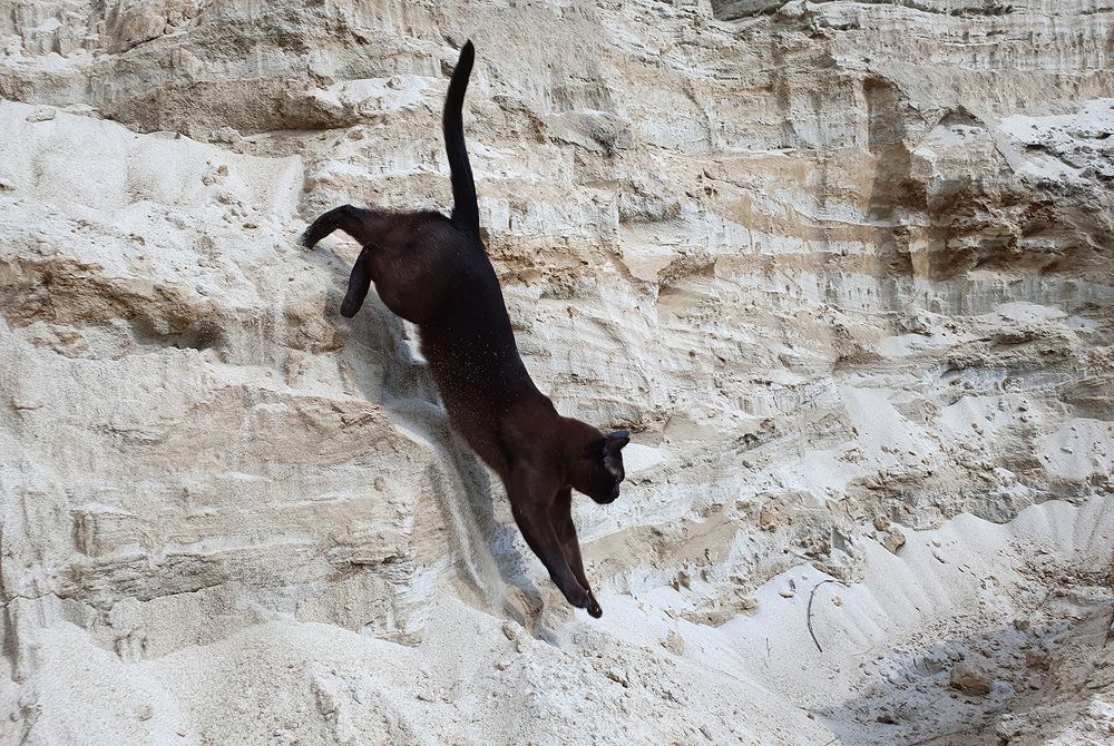 Фотография автора Надежда Лисицына