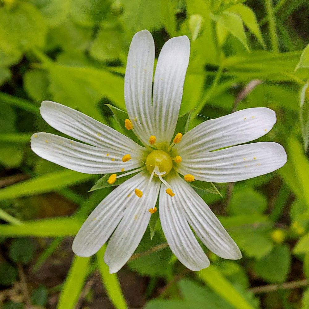 Photograph by Владимир Баулин