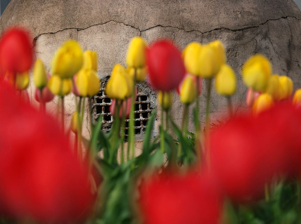 Photograph by Дмитрий Ткаченко