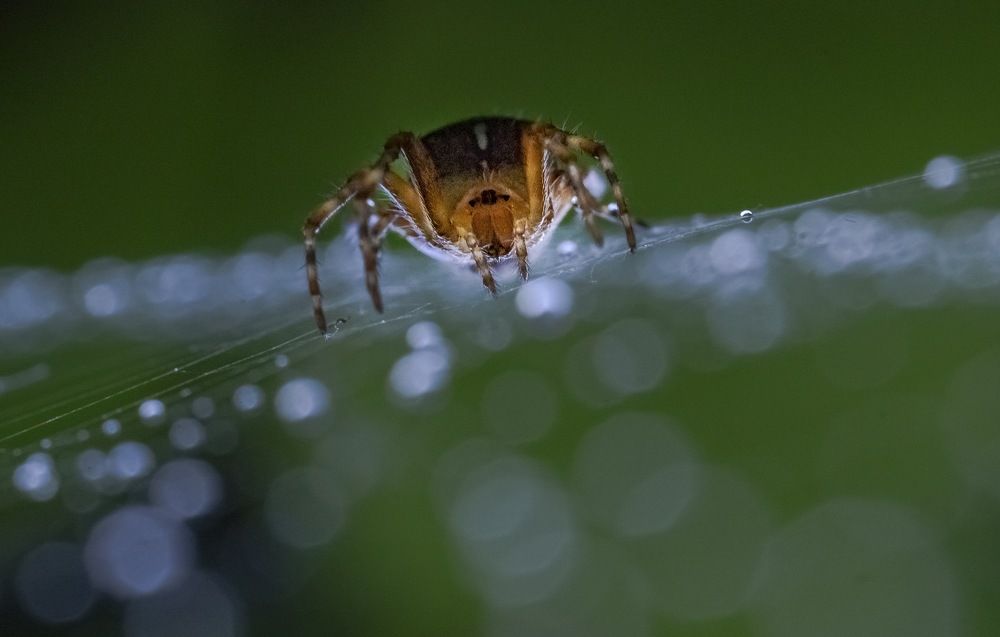 Photograph by Юлия Ильина