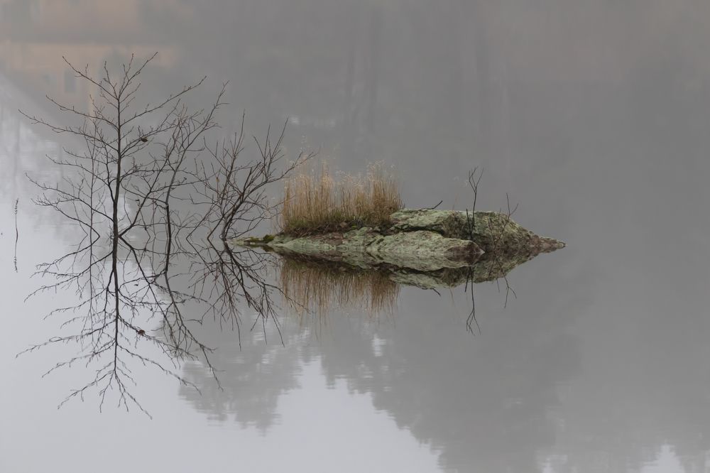 Photograph by Юлия Куликова