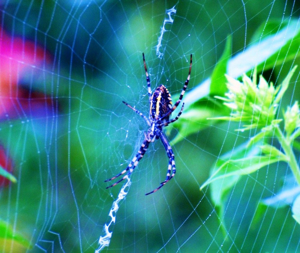 Photograph by Жанна Нечаева