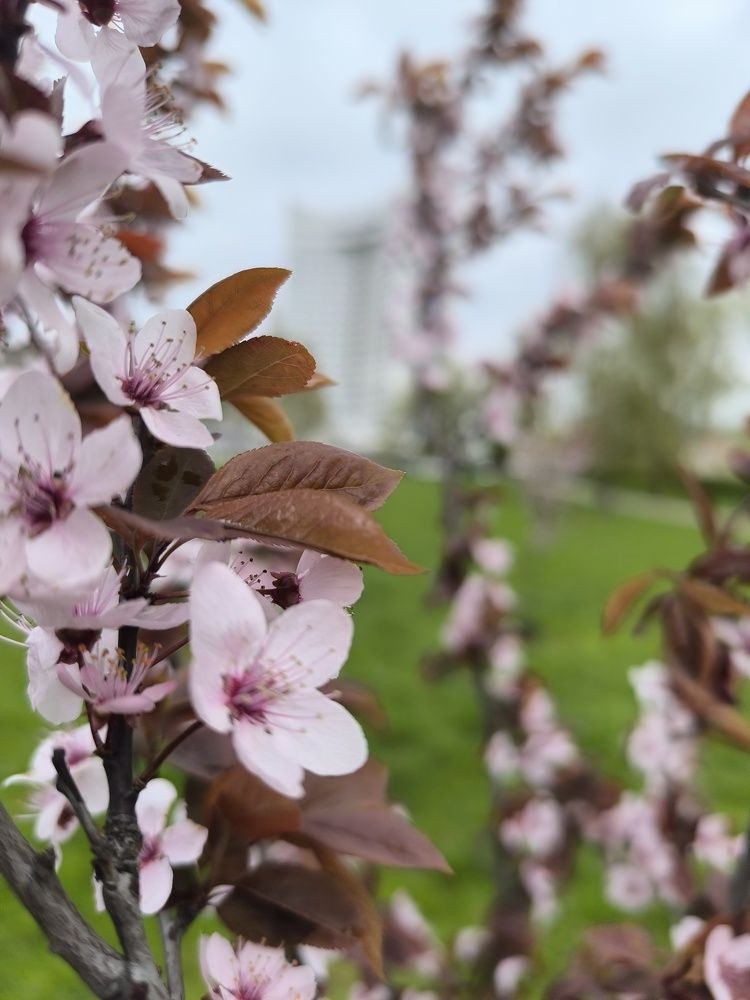 Photograph by Людмила Муравьева