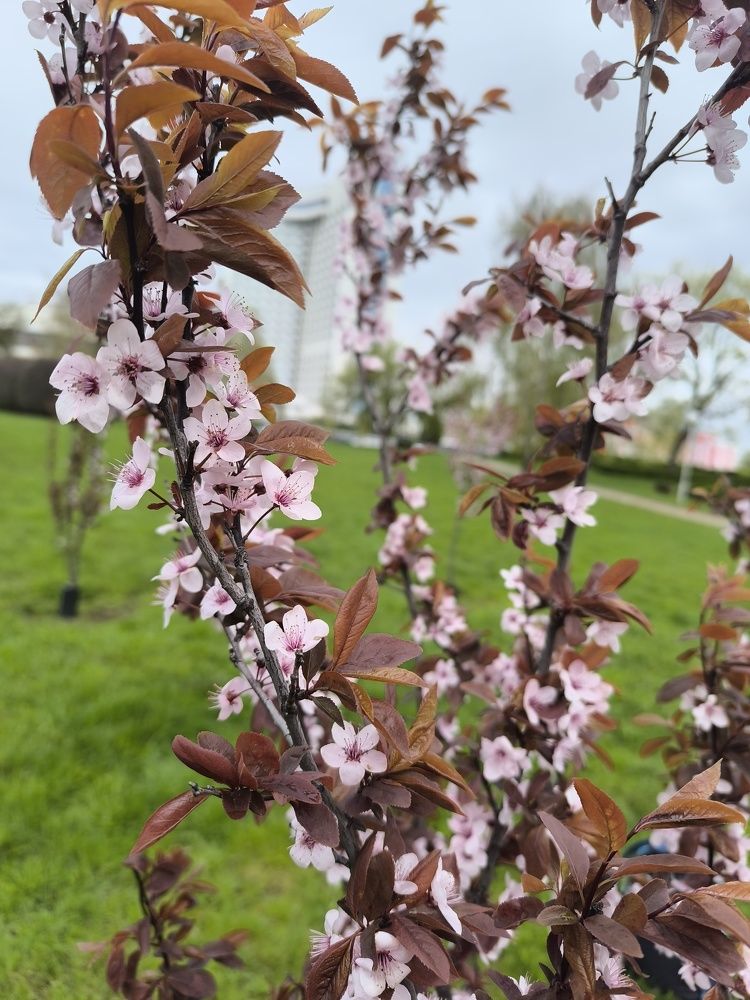 Photograph by Людмила Муравьева