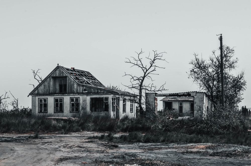 Photograph by Дмитрий Педченко