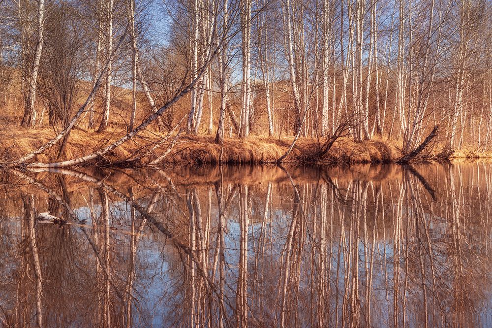 Photograph by Светлана Андреева