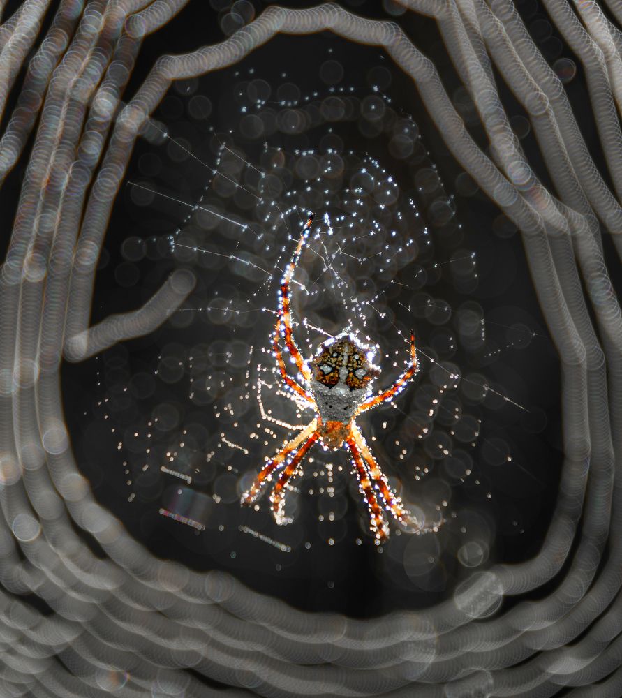 Photograph by Valdir Hobus