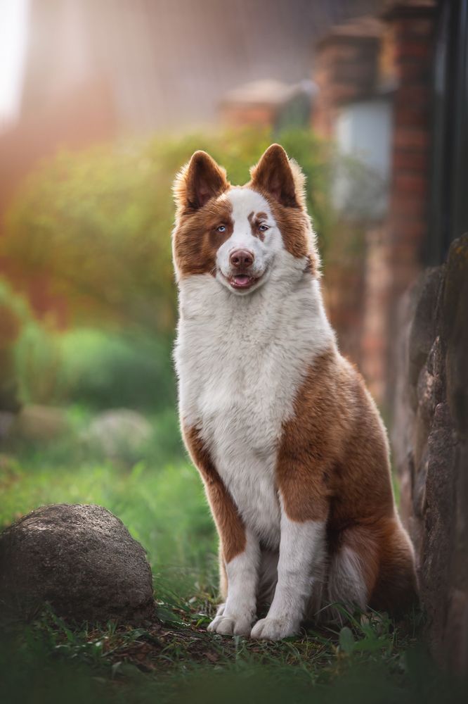 Photograph by Анна Григорьева