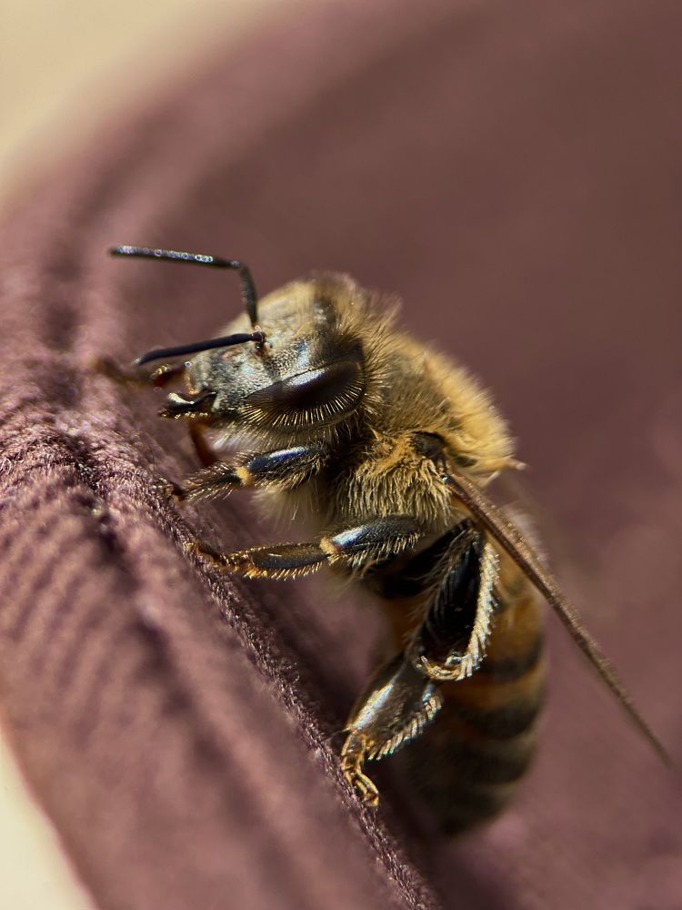 Photograph by Yulia Zhilinskaya