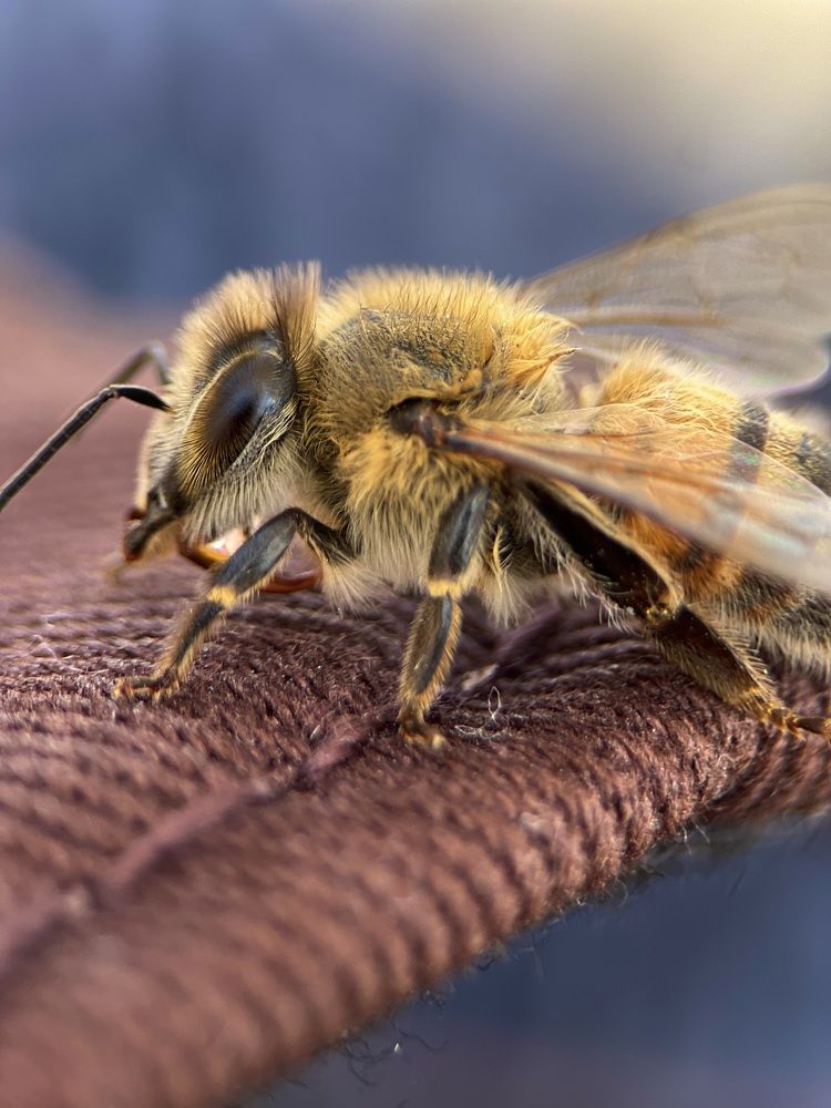 Photograph by Yulia Zhilinskaya