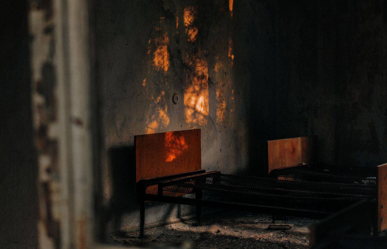 Фотография #10600927