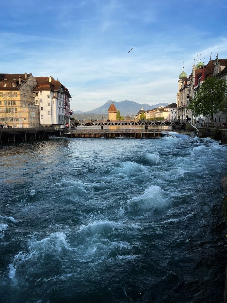 Lucerne