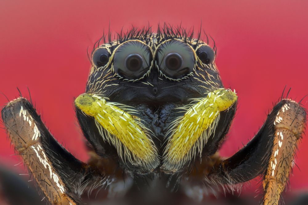 Photograph by Цветан Ганев