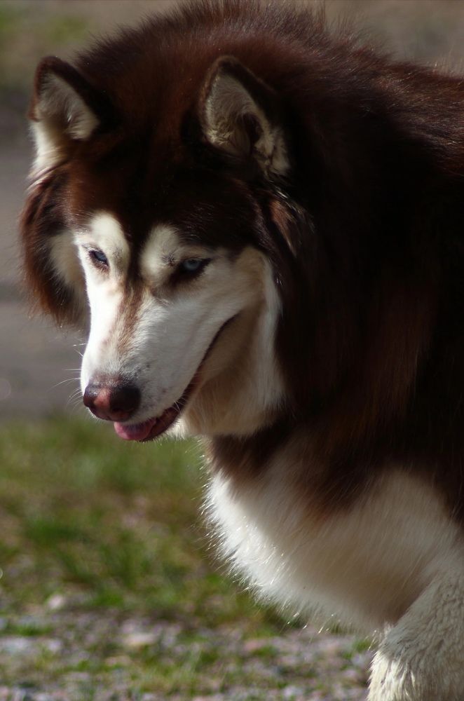 Photograph by Елена Наленч