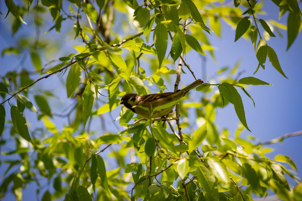 Photograph by Дмитрий Кашицин