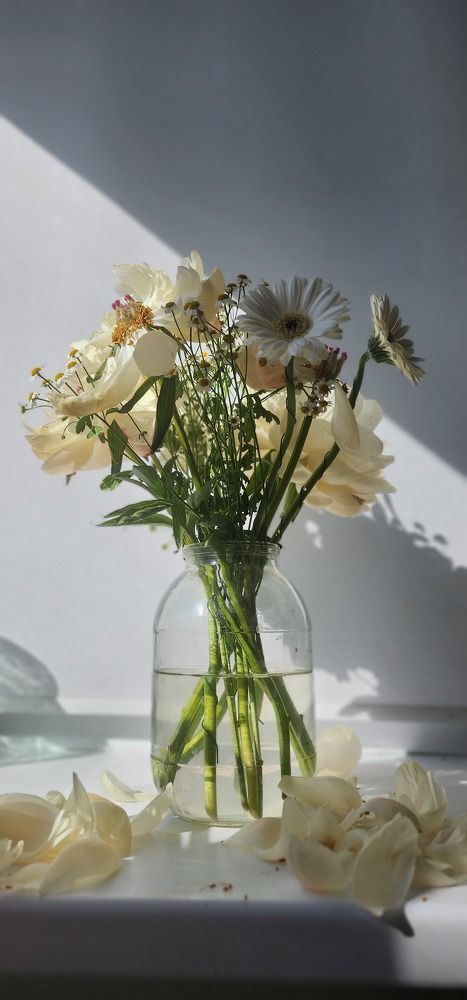 Photograph by Tatiana Denisova