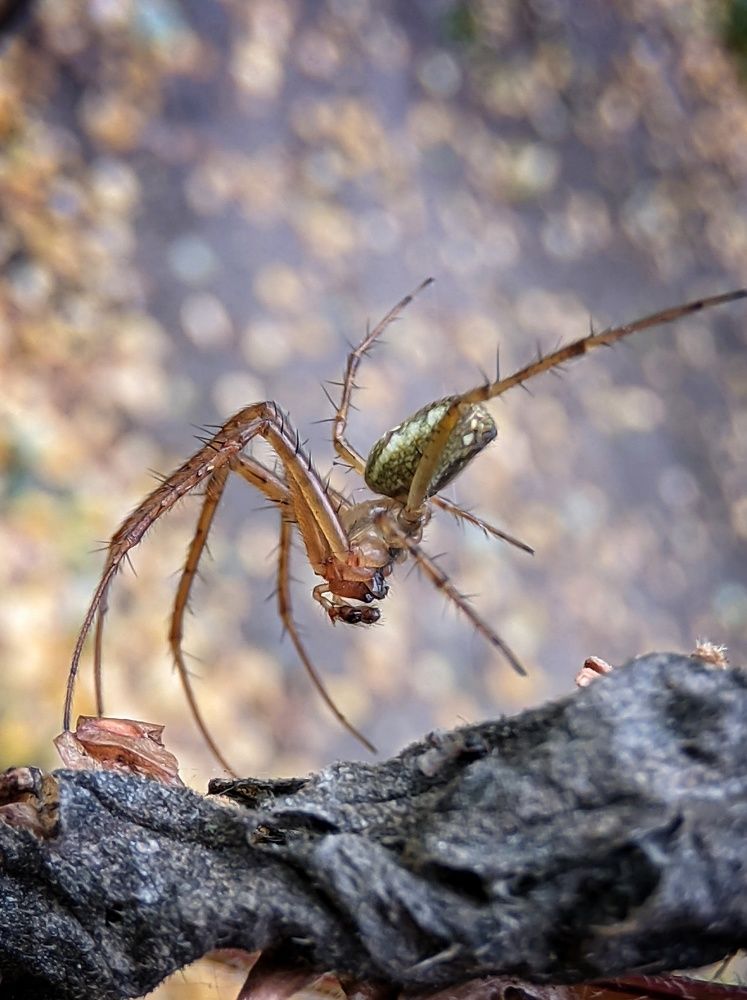 Photograph by Natalia Bolotenkova
