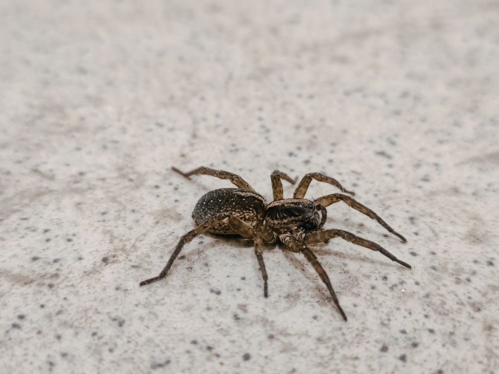 Photograph by Кристина Полякова