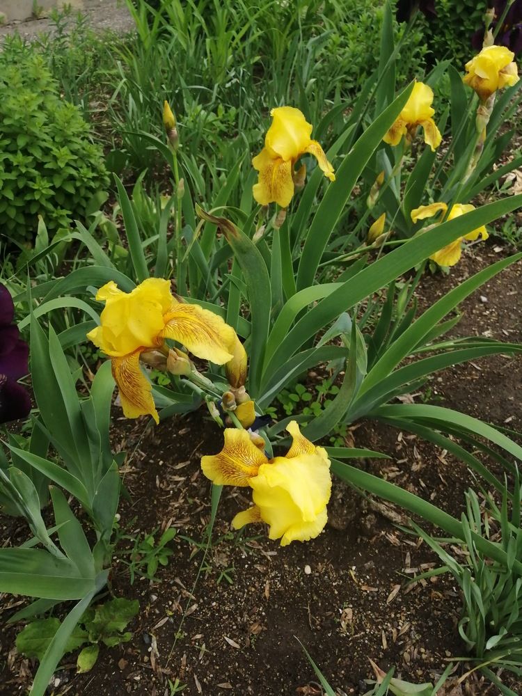 Photograph by Мила Мит