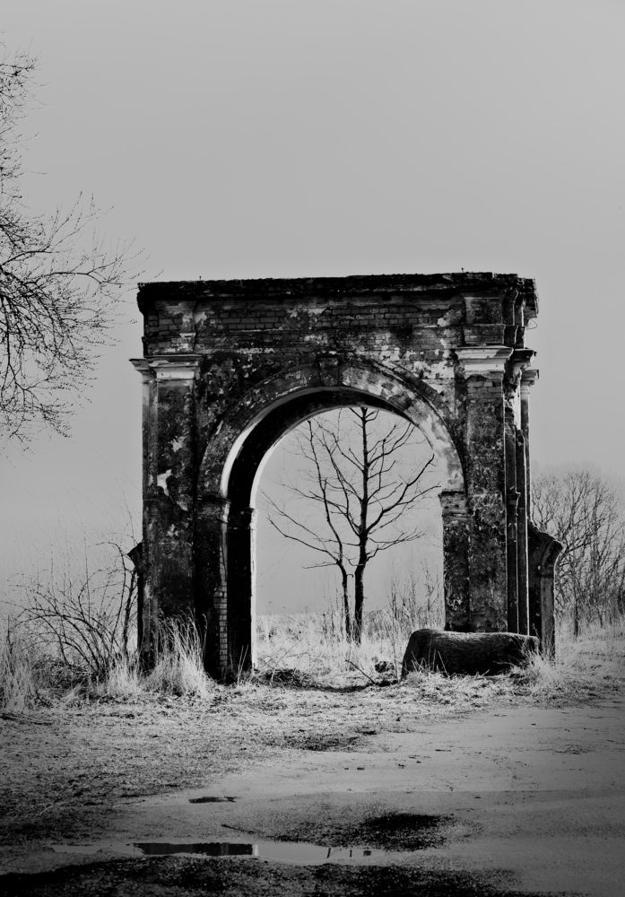 Photograph by Елена Ефимова