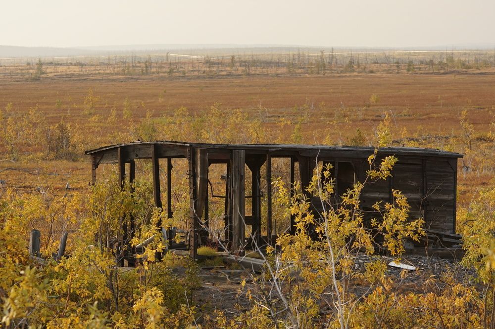 Photograph by Артем Севастьянов