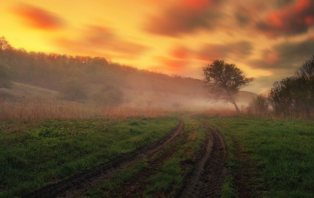 Photograph by Владимир