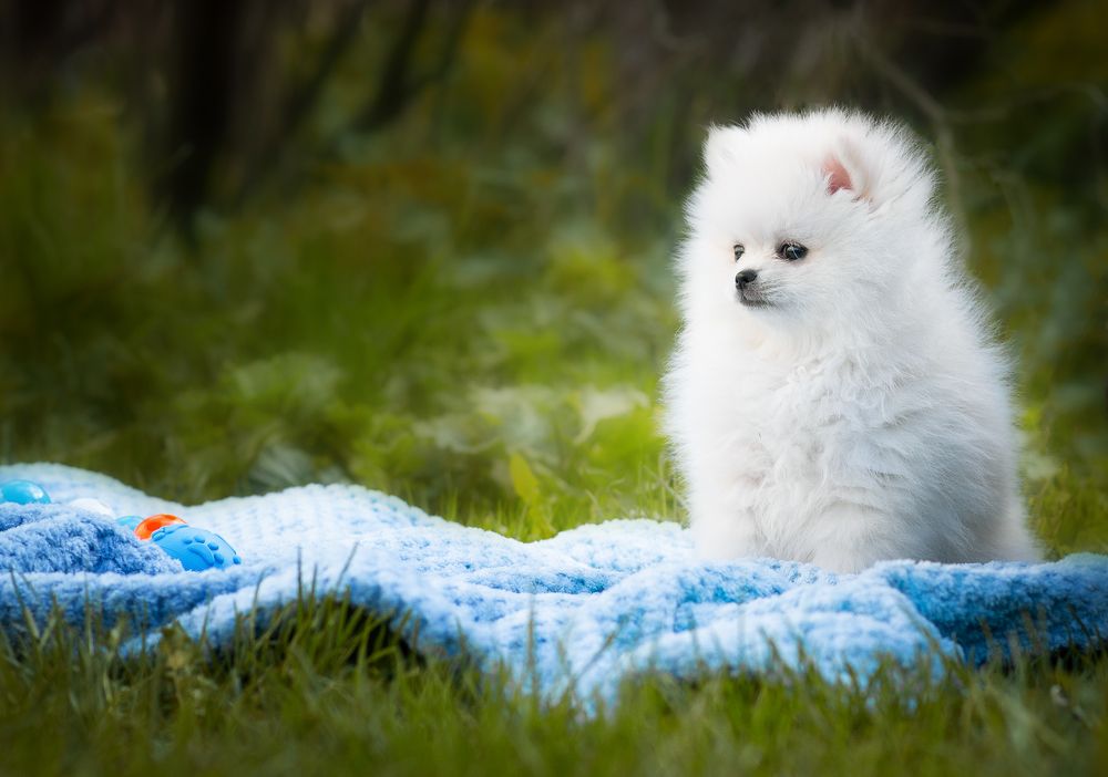 Photograph by Людмила Подольская