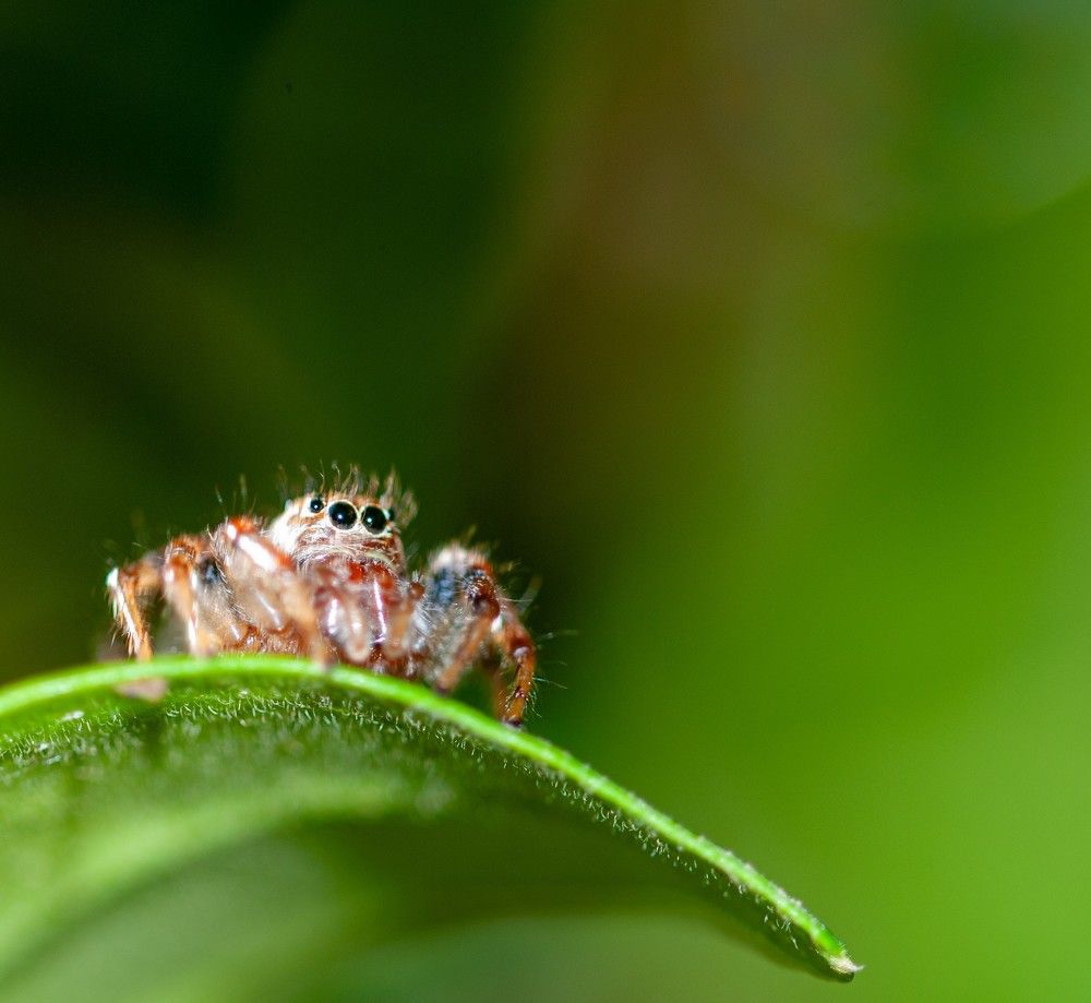 Photograph by Silvina Sánchez