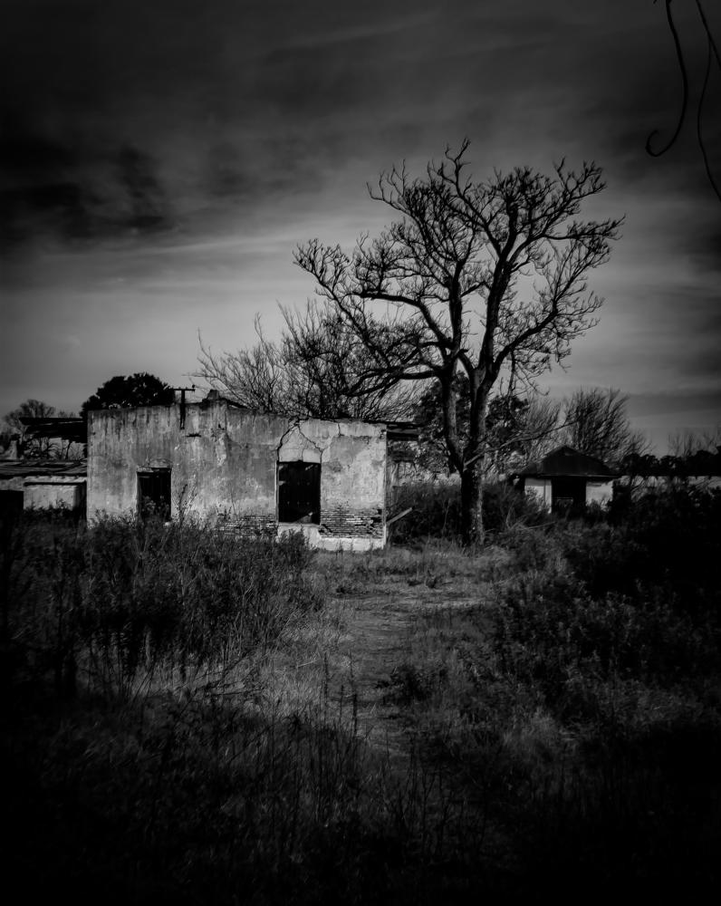 Photograph by Silvina Sánchez