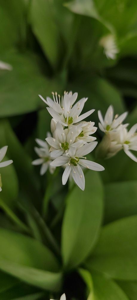 Photograph by Татьяна Афанасьева