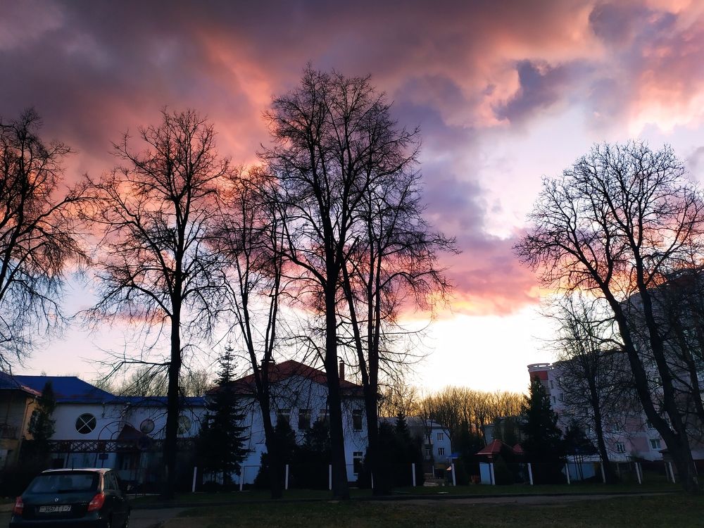 Photograph by Людмила Муравьева