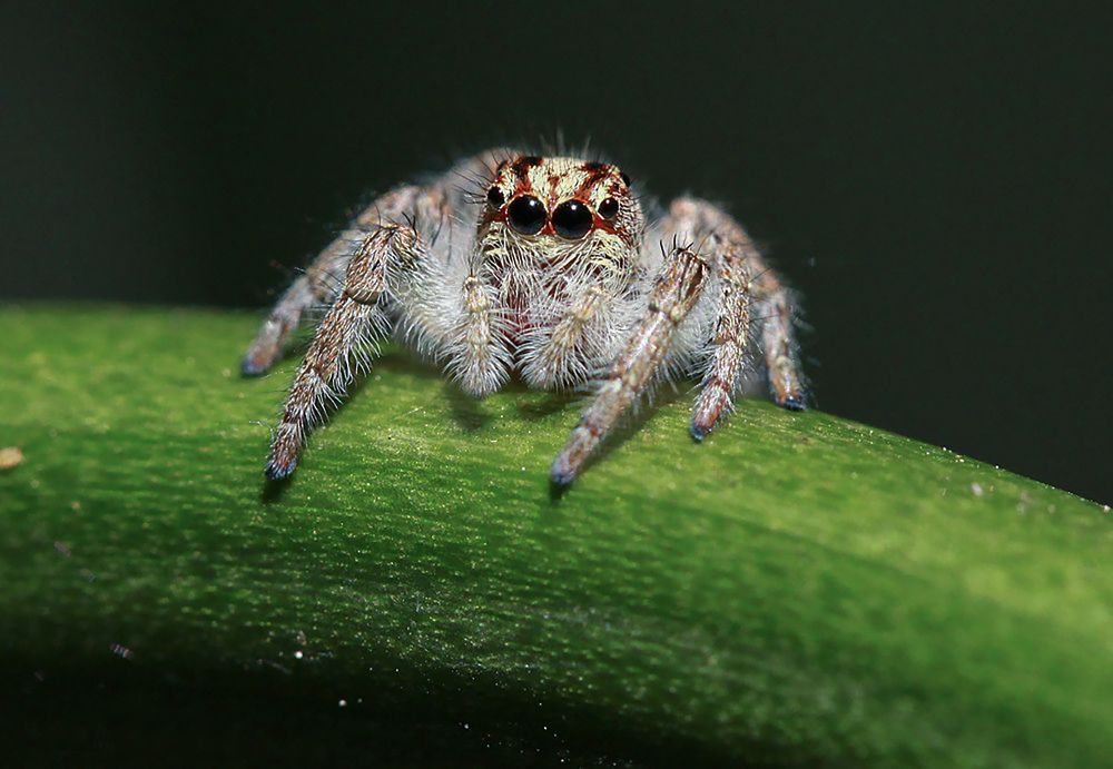 Фотография автора Marina Martorelli