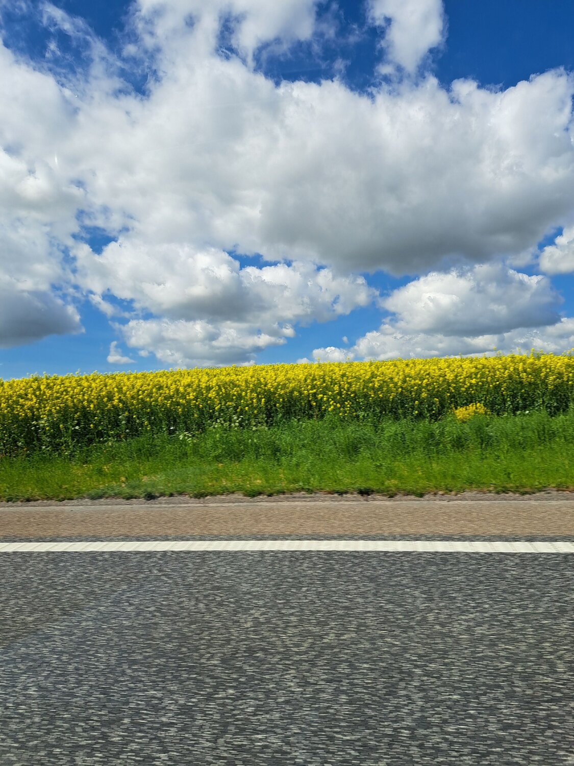 Photo #10601409