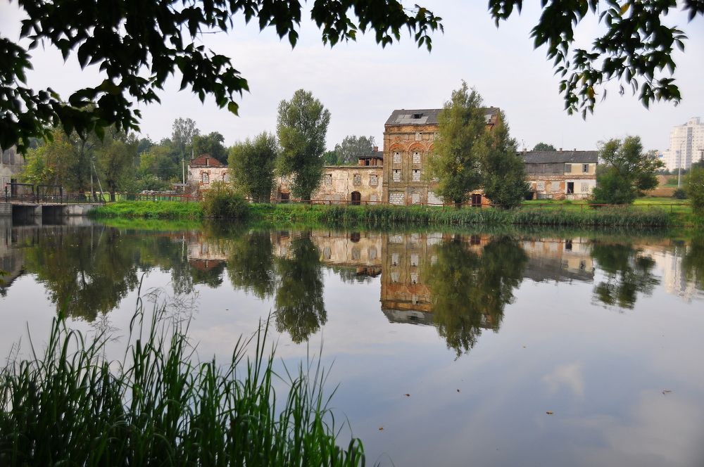 Фотография автора Антип