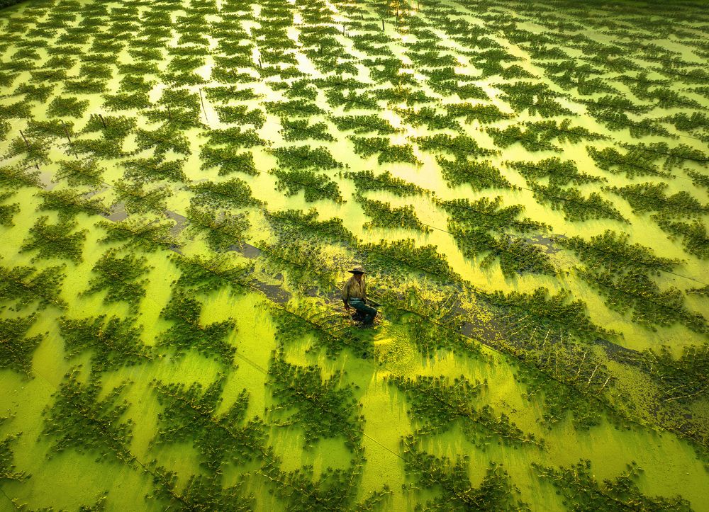 Photograph by Tran Phuong